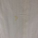 J Crew Pointelle Crewneck Knit Cardigan Cardigan Scalloped Trim Ivory L Size L Photo 3