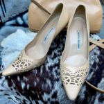 Manolo Blahnik  Beige Heels Photo 0