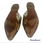 Madewell  Remi Mule Spiced Cider Snake Print Photo 6