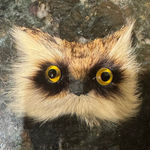 Vintage Brooch‎ Owl Realistic Bird Head Furry Glass Eye Figural Photo 0