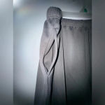 Blair  women’s Plus‎ Size Cropped Pleated Grey Pull-On Pants Size 18WP Photo 2