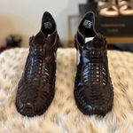 FREEBIRD by Steven  Poison 7  Photo 0