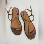 Madewell  The Bev T-Strap Thong Sandal Photo 3