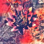 Babydoll Top Large Maximalist Floral Butterfly Print Artsy Eclectic Art To Wear Orange Photo 12