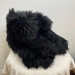 UGG  Australia Classic Short‎ Fluff Momma Mama Baby Black Mini Winter Boots 8 Photo 8