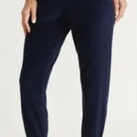 Marine layer Blue Velour High Rise Jogger Pants Photo 0