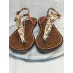 Sam Edelman Sandal Gigi T-Strap Woman's 8.5 Python Coral Leopard Boho Beach Photo 1