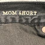 American Eagle  Jean Shorts High Rise Mom Denim Shorts Distressed Cutoff Size 4 Photo 5