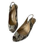 Talbots  Women Slingback Sandals Kitten Heel Animal Pattern 6AA Black And Beige Photo 5