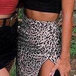 Cheetah Print skirt Multi Size 00 Photo 0