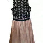 Speechless Black Lace Skater Dress Photo 0