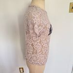 French Pastry  Blush Pink Sheer Lace New York Short Sleeve Top Size 3X Photo 2