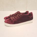 Circus by Sam Edelman Sam Edelman Shoes Sneakers Cranberry Velvet Shoe 8.5 Photo 3