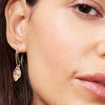 Stella & Dot NWT Collector's Box Gold Teardrop Earrings, Perfect Holiday Gift 🎁 Photo 0