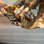 Hayden  Los Angeles Top Photo 3