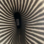 Pajar  Canada rain boots size 40(EU) 8.5 (US) Photo 4