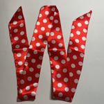 Thin Purse Scarf / Hairband / Scarf Photo 1