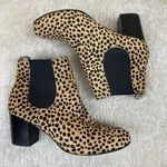 Sole Society  Mimi Chelsea Ankle Boots In Cheetah Dot Black Size 8.5 Photo 0