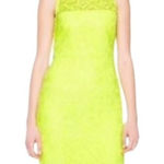 J.Crew  Collection Yellow Neon Lace  Pencil Crew Neck Knee Length Dress Size 4 Photo 0