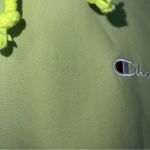 Champion Lime Green  Hoodie Photo 2
