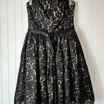 Robert Rodriguez Robert Rodriquez Dress Black Mini Strapless Lace Size 4 Photo 2