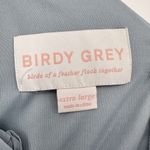 Birdy Grey  women's Dress Dusty Blue Size Xlarge Long‎ Party Dress Bridesmaids Photo 9