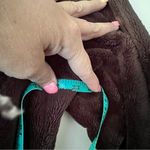 Vintage Nike ACG Womens 1/2 Zip Fleece Pullover Hoodie‎ Jacket SIZE LARGE y2k Brown Photo 6