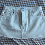 PARKE  Denim Skirt Photo 0