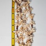 Hilo Hatties Necklace Seashell Cluster Bead 17" Vtg Bohemian Hawaiian Photo 3