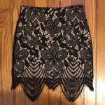 EXPRESS Black Lace Skirt Photo 0