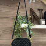 Forever 21  Purse Black Crossbody Photo 0