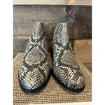 Seychelles  Waiting For You Snake Print Chelsea‎ Boot / Size 7.5 NEW Photo 1