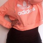 Adidas CropTop Hoodie Size XL Photo 0