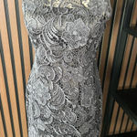 Adrianna Papell Andrianne Papell gray lacy dress short sleeveless size 4 wedding guest fancy Photo 0