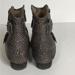 Donald Pliner   Women Moto Boot Sz. 10M EUC Dalis Animal skin Ankle boot Boho Photo 2