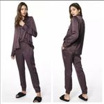 Young Fabulous and Broke ✨ Jensen Chocolate Brown Satin Jogger ✨ Photo 1