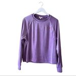 Nordstrom  BP PURPLE HYACINTH LOVE Be Proud  Inclusive Pride Velour S Photo 1