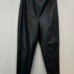ZARA Faux Leather Skinny Pull On Pant Photo 0