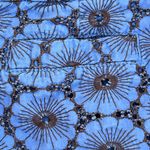 Anthropologie ELEVENSES
Blue Brown Floral Daisy Eyelet Gerbera Short‎ Size 12 Blue Photo 2