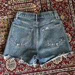 AGOLDE Dee Shorts Photo 1