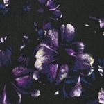 Simply Vera Multi Media Top Black Purple Floral Size L Large Ribbed Sleeve Photo 5