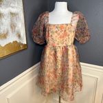 Endless Rose Puff Sleeve Mini Dress Photo 4