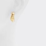 ALDO Roben Chunky Hoop earrings Photo 1