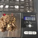 Cookie Lee Gold Tone Long Multi Chain Necklace Heart Key Fleur-De-Lis Charms 42" Photo 5