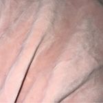 Charlotte Russe  Pink Velour Cropped Jacket With Hood Zip Up Women's Medium EUC Photo 3