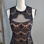 Betsy and Adam Sleeveless Lace Over Netting Cocktail Dress Black Pink 6 Photo 3