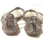 DV by Dolce Vit Dolce Vita Snakeskin T-strap and Gold Trim Sandals size 6 Photo 3