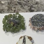 Lot Of 3 Vintage Photo 7