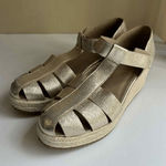Eileen Fisher Tilly Espadrille Wedge Sandal in Platinum Womens Size 10 Photo 0