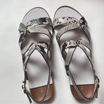 Kelly & Katie  Deenah Women’s Animal Print Sandals Sz 6.5 Photo 10
